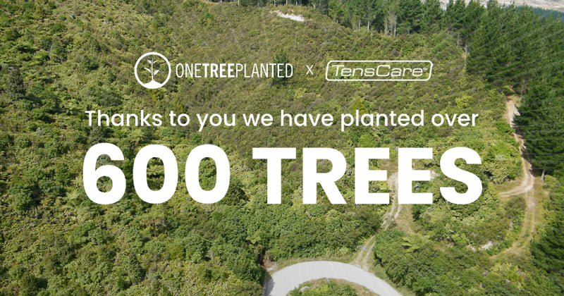 We've Planted 600 Trees Thanks To You!